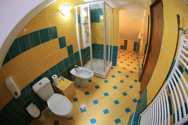 Baia proprie a suitei din Vila Rebeca, cu duș, chiuvetă și faianță decorativă