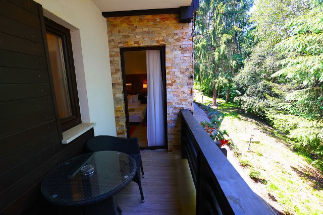 Priveliștea de pe balconul camerei 6 din Vila Savel, spre pădurea de brazi și râul Moldova