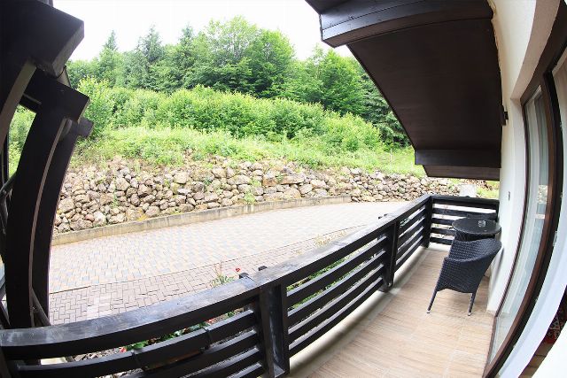 Priveliștea de pe balconul camerei 3 din Vila Zamfira, spre pădurea de brazi și râul Moldova