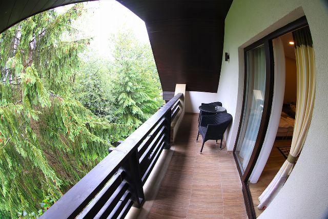 Priveliștea de pe balconul camerei 7 din Vila Zamfira, spre pădurea de brazi și râul Moldova